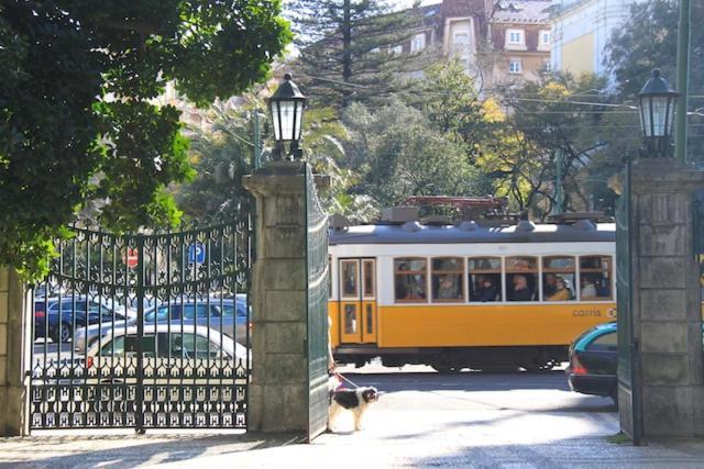 דירות ליסבון Apartamento Bem Localizado Para Familias & Amigos מראה חיצוני תמונה